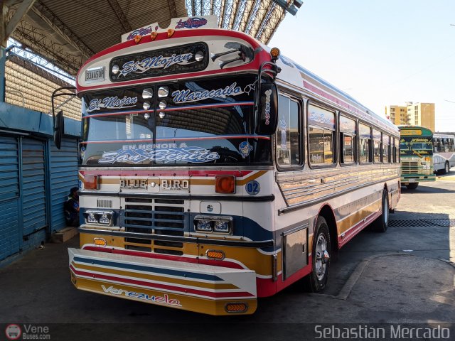 Colectivo San Rafael 02 por Sebastin Mercado