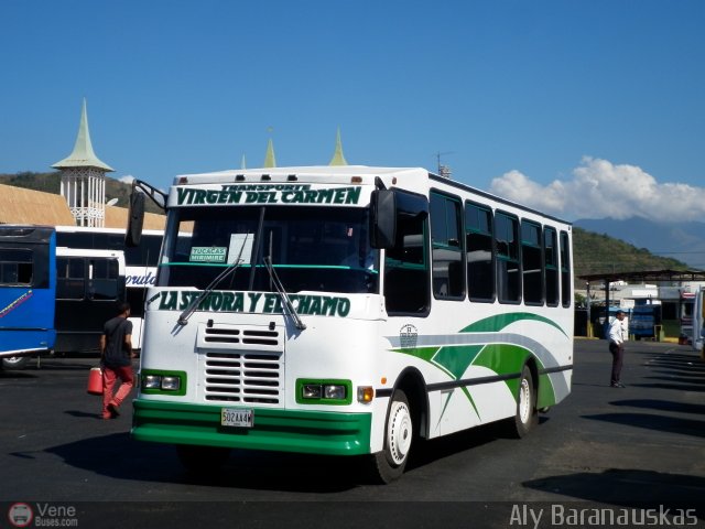 Transporte Virgen del Carmen 51 por Aly Baranauskas