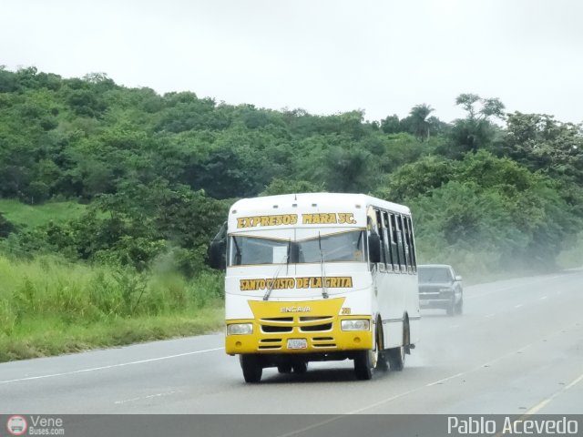 S.C. Expresos Mara 038 por Pablo Acevedo