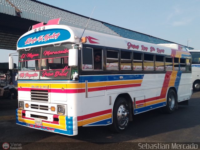 Colectivo San Rafael 27 por Sebastin Mercado