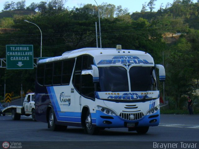 Inversiones Pino 05 por Royner Tovar