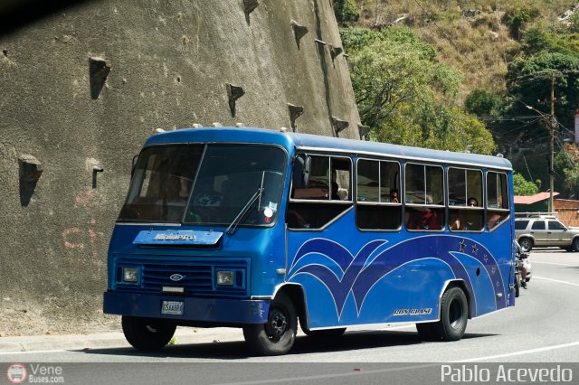 DC - Tigres de Plan de Manzano 037 por Pablo Acevedo