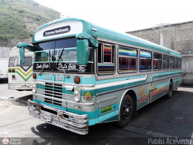 Expresos Continente C-36 por Pablo Acevedo