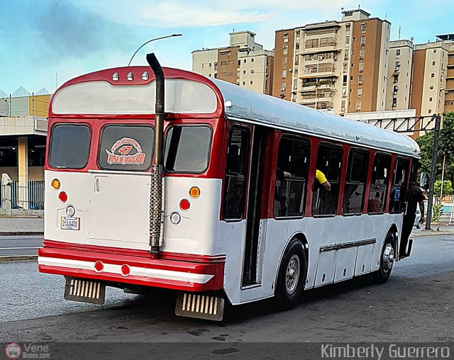 Transporte Palo Negro La Morita 2 047 por Kimberly Guerrero