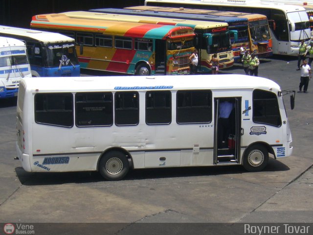 Expresos Venezuela 11 por Royner Tovar