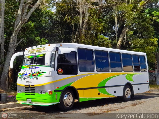 Lnea Los Andes S.C. 085 por Kleyzer Caldern