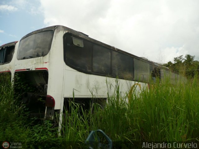En Chiveras Abandonados Recuperacin AC1700 13 por Alejandro Curvelo