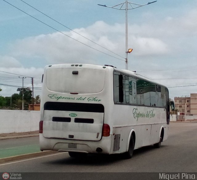 Expresos Del Sur 2024 por Miguel Pino