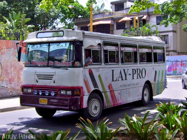 CA - Asociaci�n Coop. El Trigal R.L. 99 por Andy Pardo