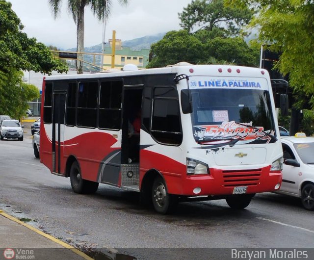 TA - A.C. Autos por puesto Lnea Palmira 008 por Jerson Nova