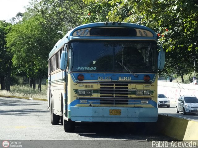 Particular o Desconocido 12 por Pablo Acevedo