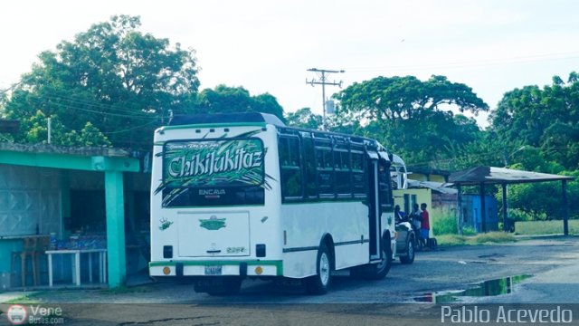 A.C. de Transporte Encarnaci�n 127 por Pablo Acevedo