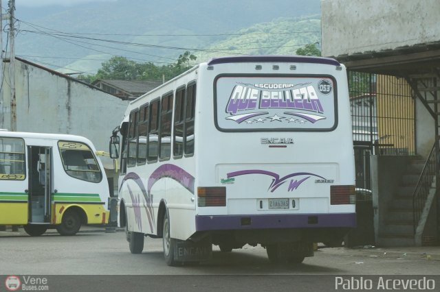 TA - A.C. Autos por puesto L�nea Palmira 053 por Pablo Acevedo