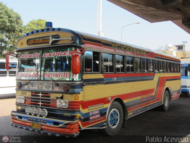 Expresos Continente C-38 por Pablo Acevedo