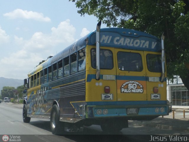 Transporte Colectivo Palo Negro 50 por Jess Valero