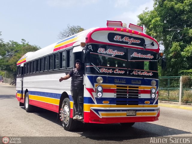 Colectivo San Rafael 11 por Abner Sarcos