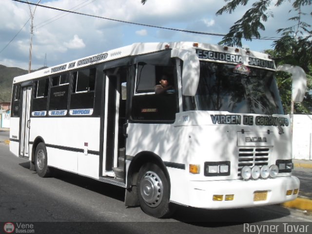 Opcin Invlida 01 por Royner Tovar