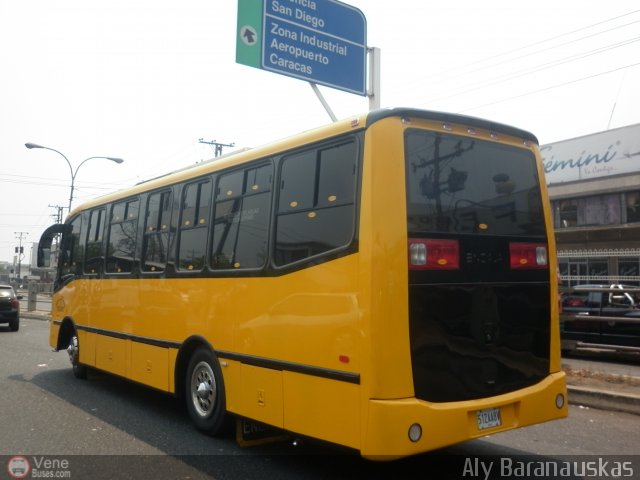 Transporte Virgen del Carmen 33 por Aly Baranauskas