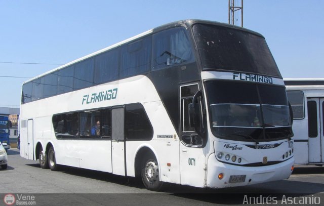 Expresos Flamingo 0071 por Andr�s Ascanio