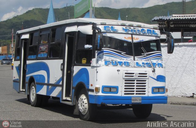 CA - Asociaci�n Coop. El Trigal R.L. 23 por Andr�s Ascanio