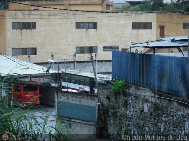 En Chiveras Abandonados Recuperacin Excarguaica por Alfredo Montes de Oca