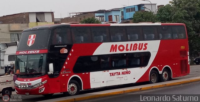 Transportes y Servicios Molibus 1000. por Leonardo Saturno