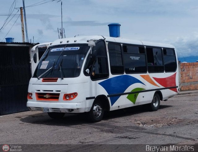 TA - A.C. Autos por puesto Lnea Palmira 048 por Jerson Nova