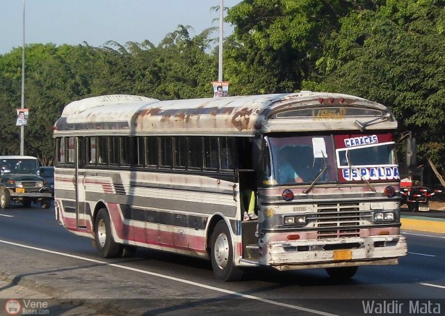 Expresos La Popular 28 por Waldir Mata