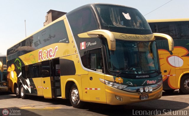 Transporte Flores Hermanos S.R.L 950 por Leonardo Saturno