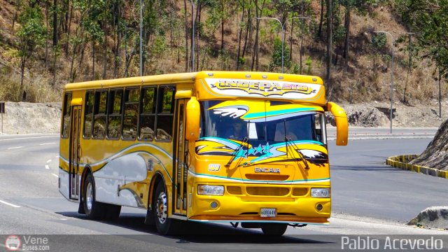 A.C. Indepasib 109 por Pablo Acevedo