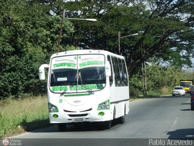 A.C. Transporte Palmarejo 12 por Pablo Acevedo