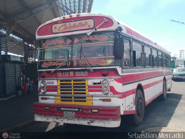 Colectivos Cachiri 08 por Sebastin Mercado