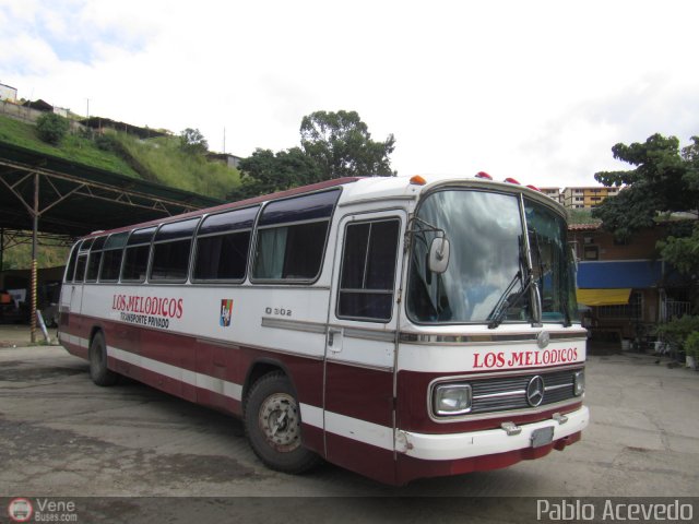 Orquesta Los Meldicos 01 por Pablo Acevedo