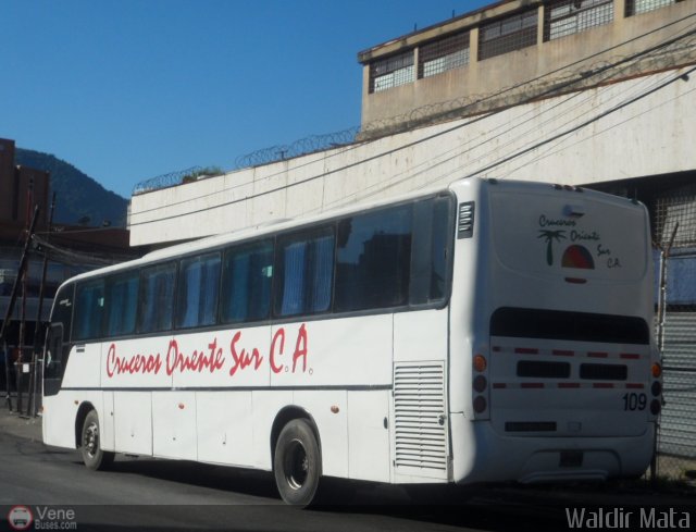 Cruceros Oriente Sur 109 por Waldir Mata