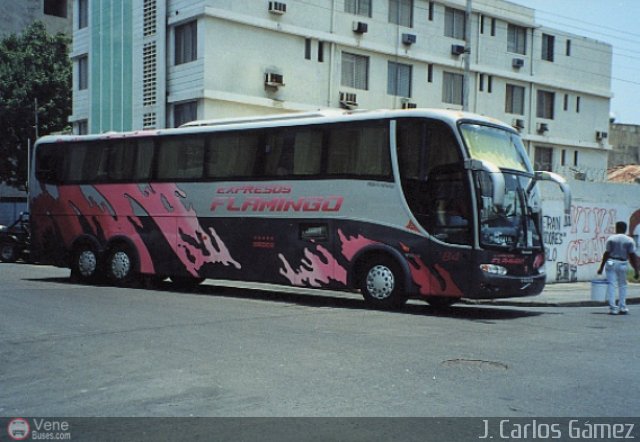 Expresos Flamingo 84 por J. Carlos G�mez