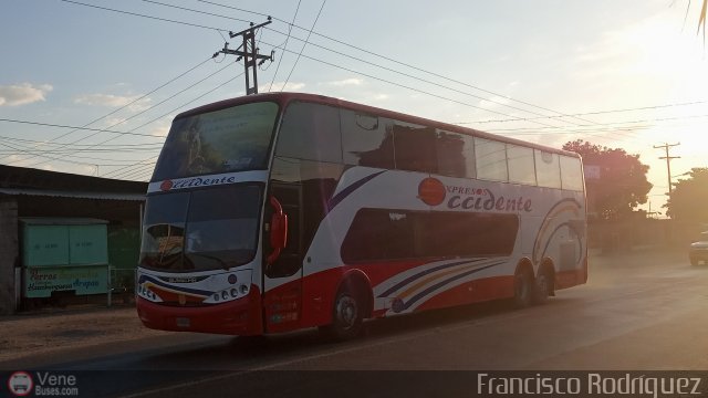 Expresos Occidente 437 por Francisco Rodr�guez