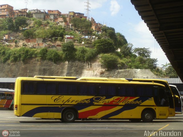 Expresos Los Llanos 464 por Alvin Rond�n