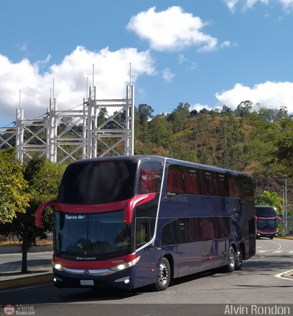 Tigres de Aragua B.B.C. 01 por Alvin Rond�n