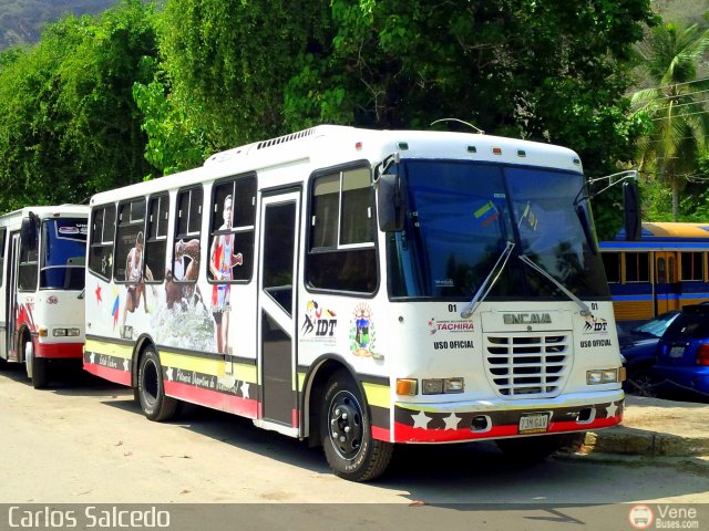Instituto Deportivo del Táchira 01 por Carlos Salcedo
