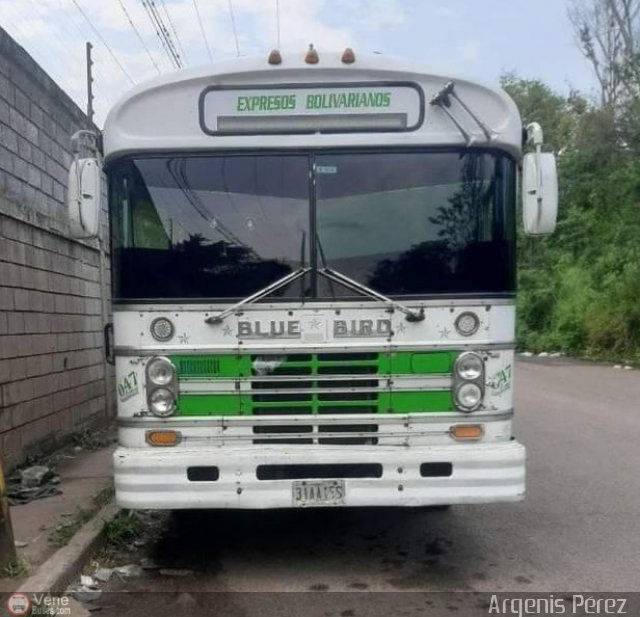 Expresos Bolivarianos 47 por Jerson Nova