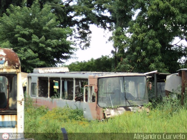 En Chiveras Abandonados Recuperacin AC0009 por Alejandro Curvelo