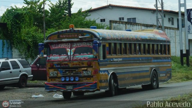 Transporte Guacara 0096 por Pablo Acevedo