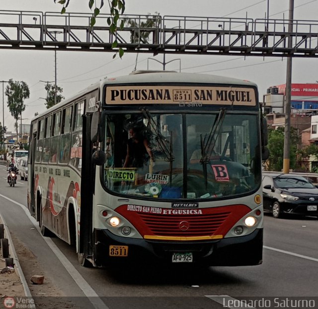 E.T. y Servicios Guadulfo Silva Carbajal 001 por Leonardo Saturno