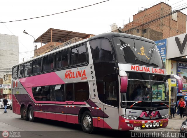 Turismo Molina Unin S.A.C. 969. por Leonardo Saturno