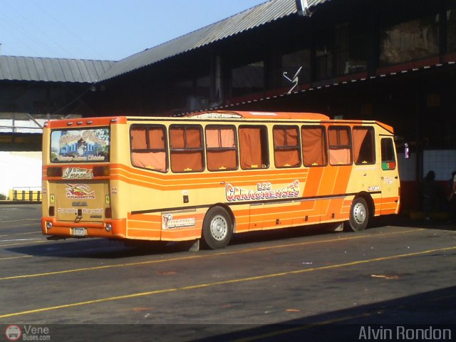 Transporte Carache 02 por Alvin Rondn