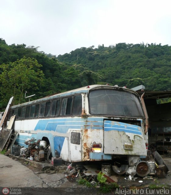 En Chiveras Abandonados Recuperacin 0302 por Alejandro Curvelo