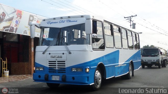 S.C. L�nea Transporte Expresos Del Chama 172 por Leonardo Saturno