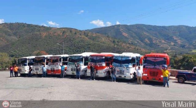 Profesionales del Transporte de Pasajeros OO1 por Moiss Silva Colombo