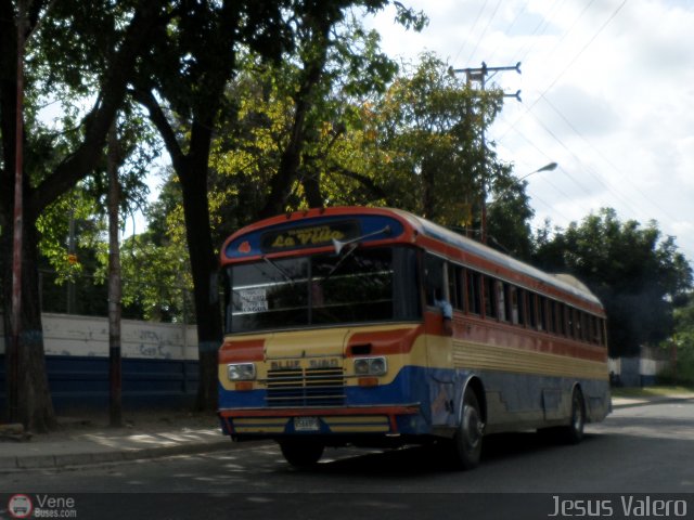 Transporte La Villa 04 por Jess Valero