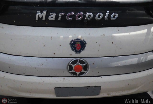 Detalles Acercamientos NO USAR M�S Minci 01 por Waldir Mata